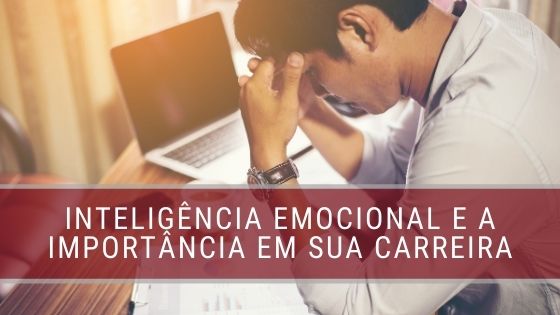 11 – Inteligência emocional e profissional